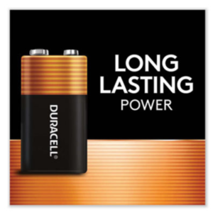 Duracell? CopperTop Alkaline 9V Batteries, 2/Pack (MN1604B2Z)